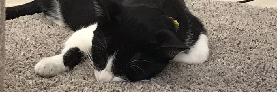 CarlosPE92's profile banner image