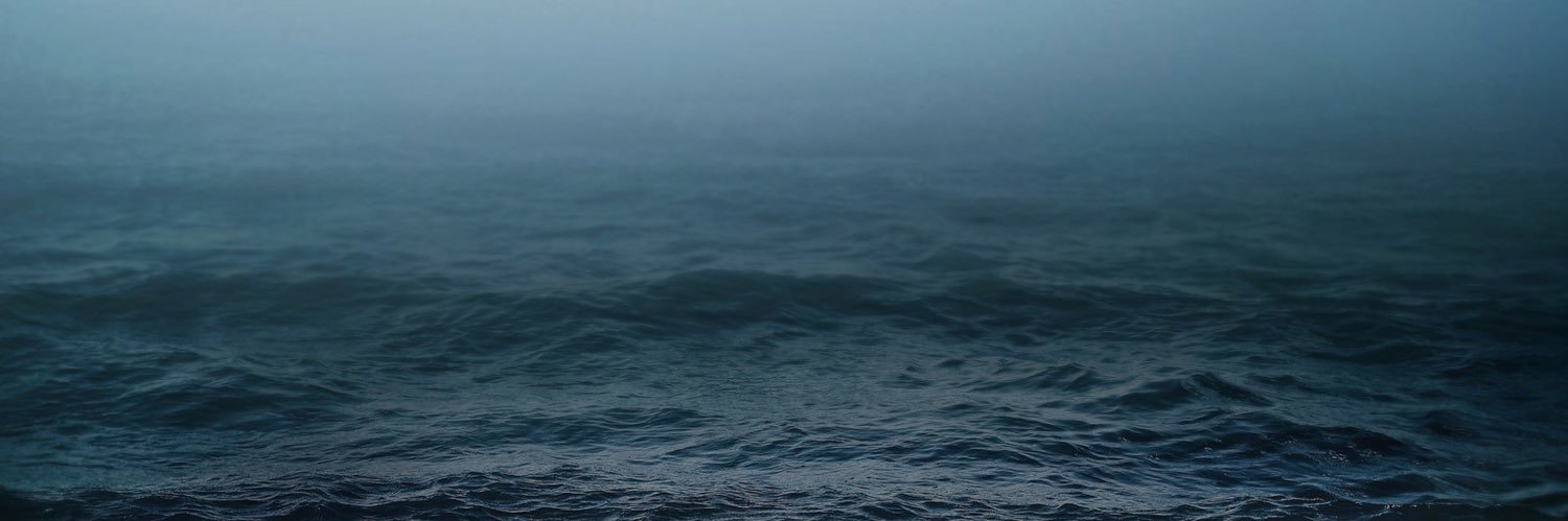 Seva Poliakov banner