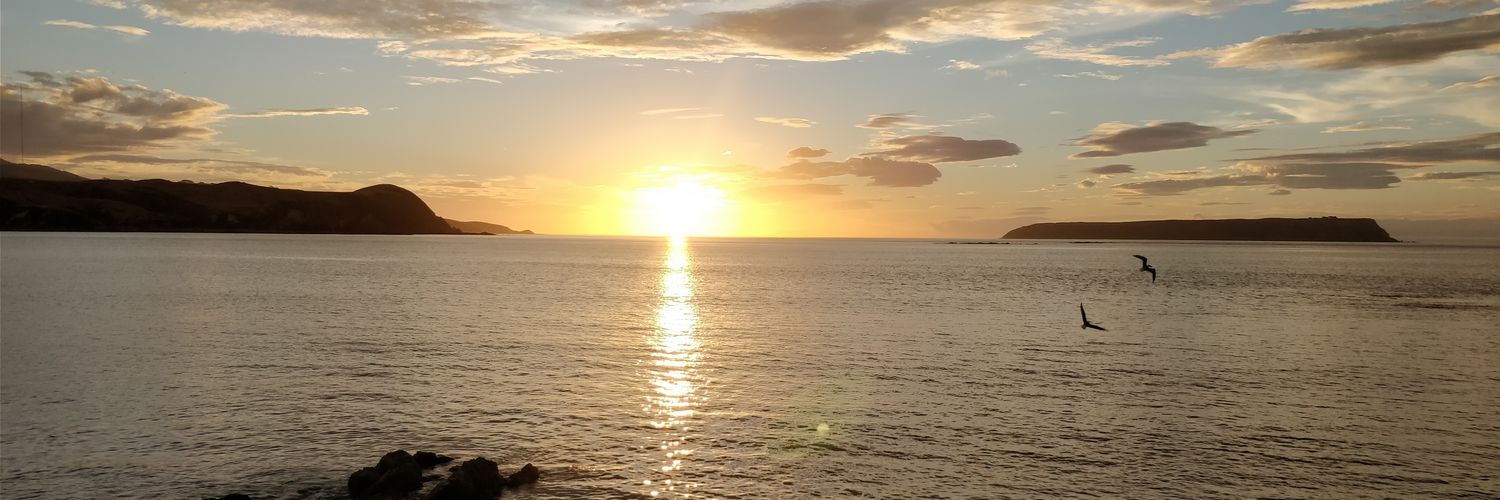 Jellyflurb's profile banner image