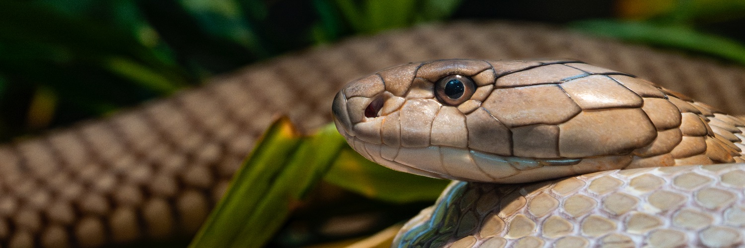 abqbiopark's profile banner image