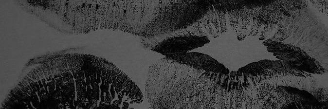 dollciotti's profile banner image