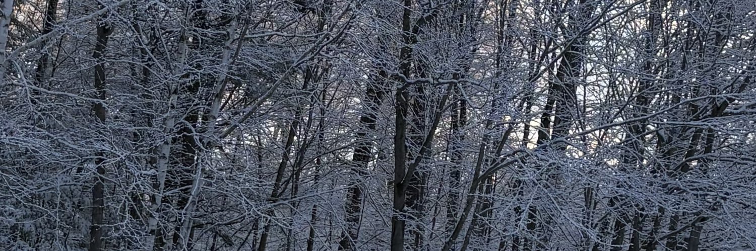 CashmanDeb34376's profile banner image