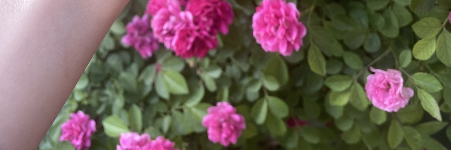 🇮🇷کهن‌درخت بلوط ایران‌🇮🇷 banner