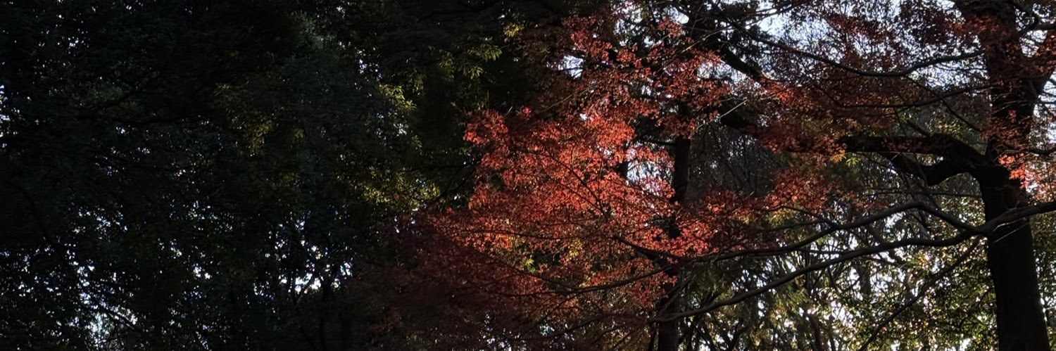 Dogukanercc's profile banner image