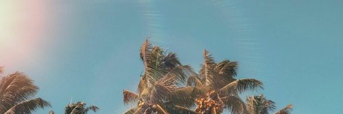 imserchross's profile banner image