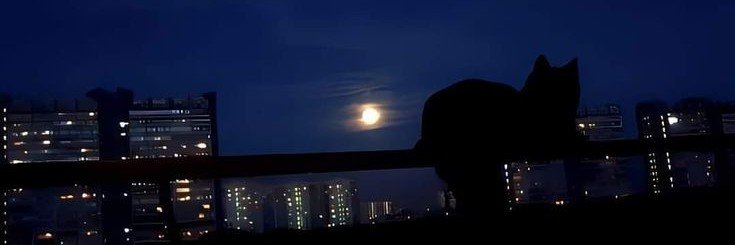 aastrologyy_'s profile banner image