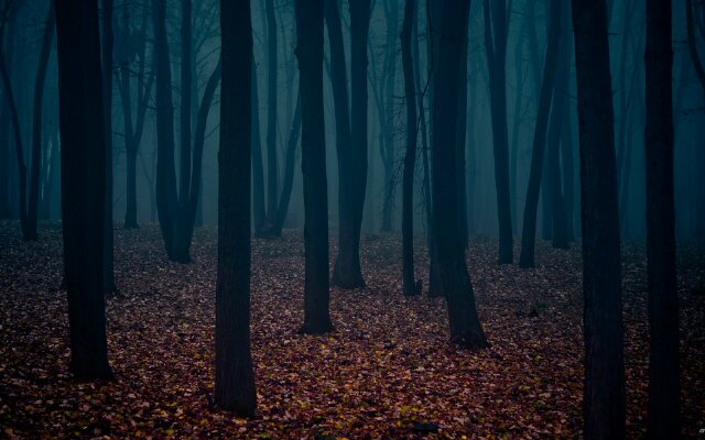 Joseldg95's profile banner image