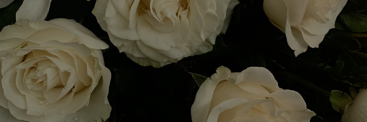 ants0496's profile banner image