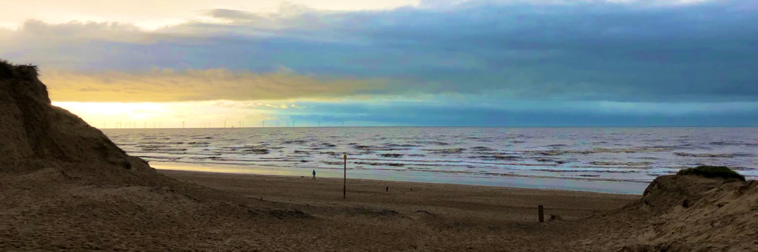 Simon Bradley Pinkus banner