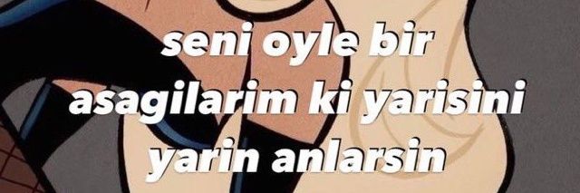 sıla banner