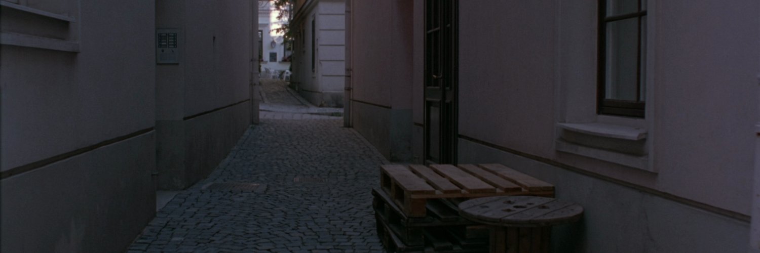 LASVENGANZA's profile banner image