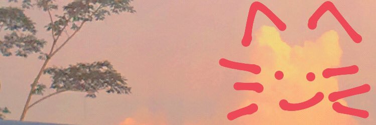 miiiapah's profile banner image