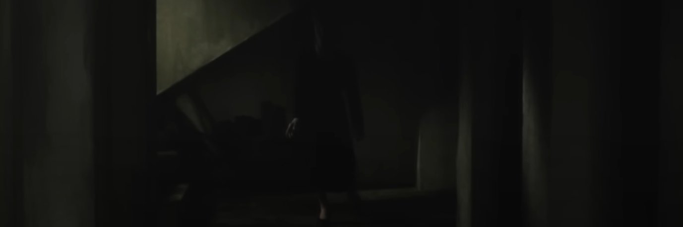 carcasses's banner