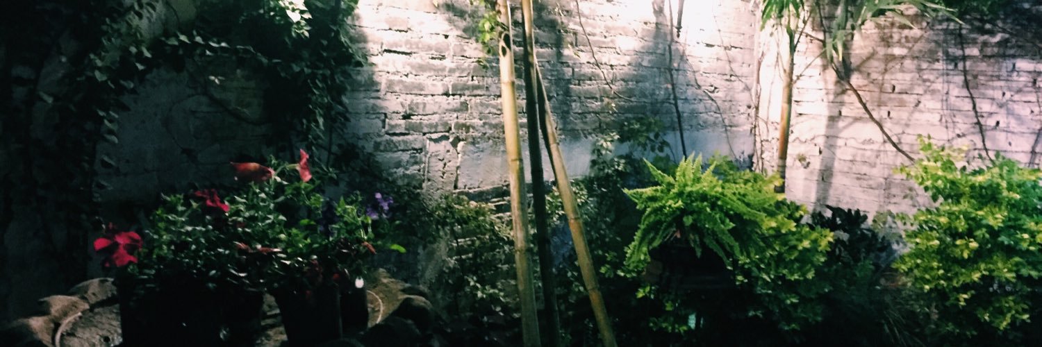 danyacastro's profile banner image