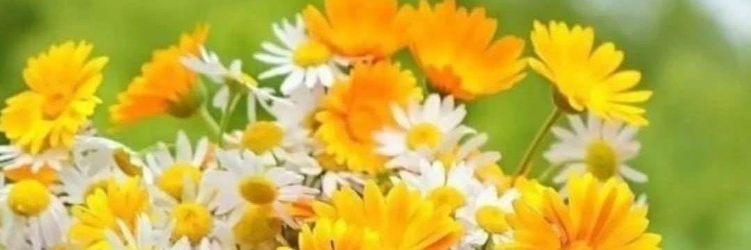 kiki eu🤠⚡️ banner