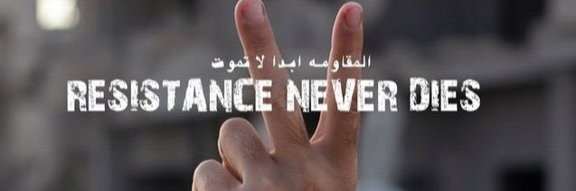 Wendi🕊️PRO🇵🇸🔻 banner