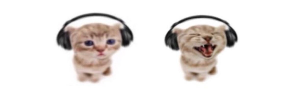 meermoder's profile banner image