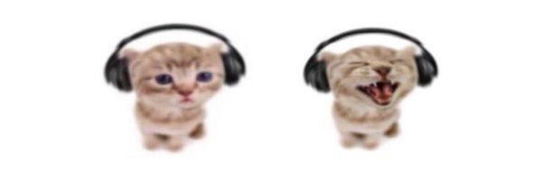 meermoder Profile Banner