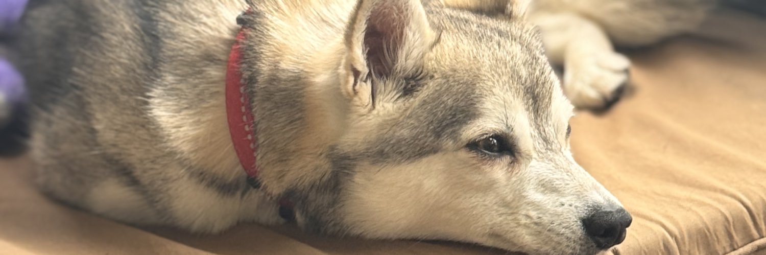 Father to Argos and Tycho banner