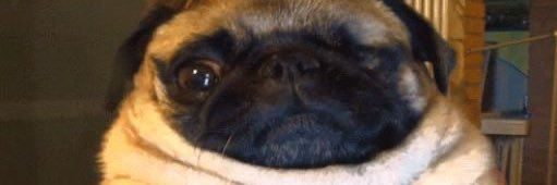 vsfifi_'s profile banner image