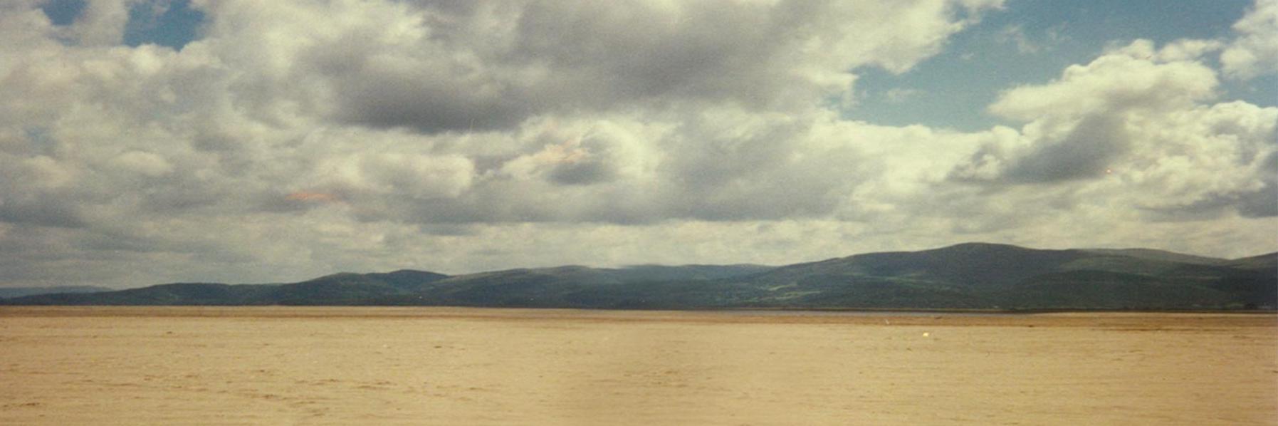 IAMmichaelw's profile banner image