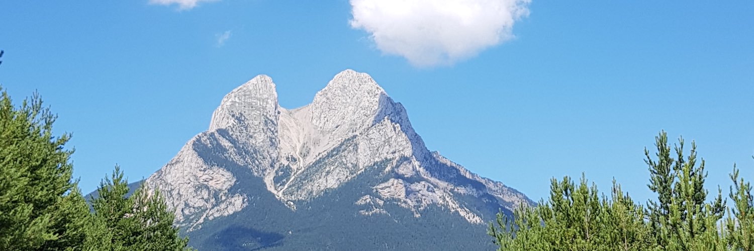 enricarques's profile banner image
