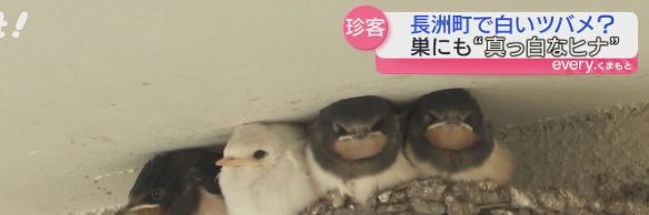 MACIRO【ΩMG】 banner