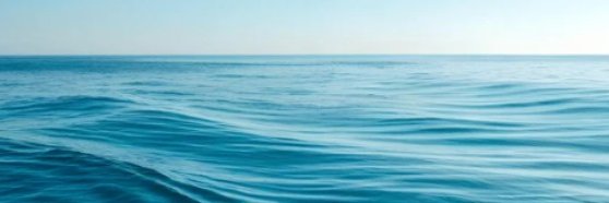 Jenny from the Block banner