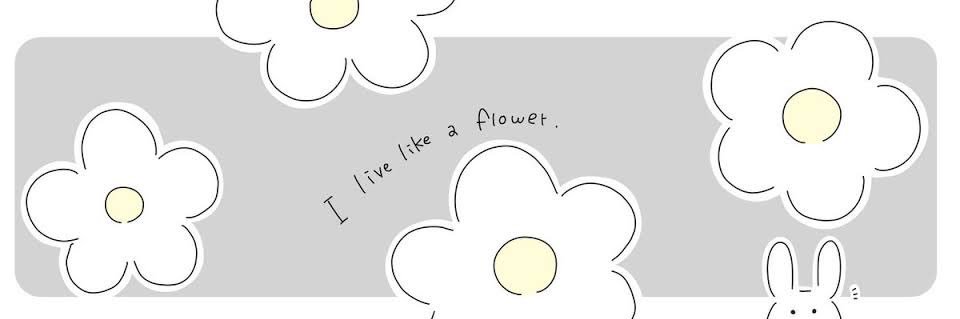 Ao…𝜗𝜚˚⋆ banner