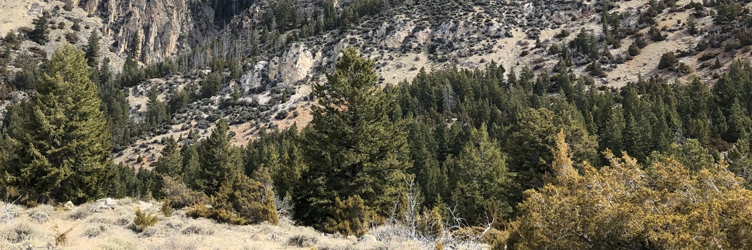 WyoStForestry's profile banner image