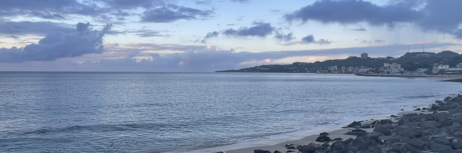 Dra. Michelle Visbal 🇵🇷 banner