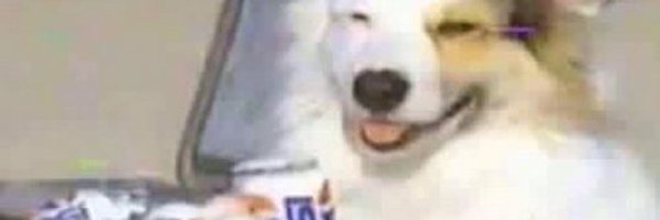 0Dayhta Profile Banner