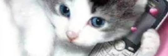 Humanitos_13_ banner