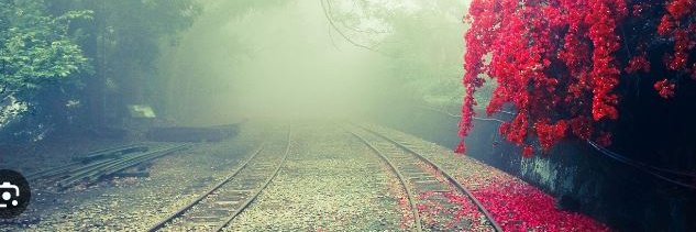 congwan888's profile banner image