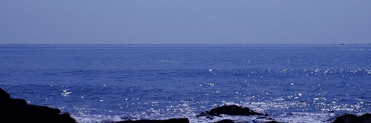 xiaodudu2000's profile banner image