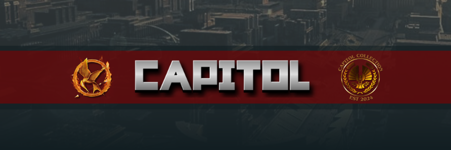 DSTRCAPITOL's profile banner image