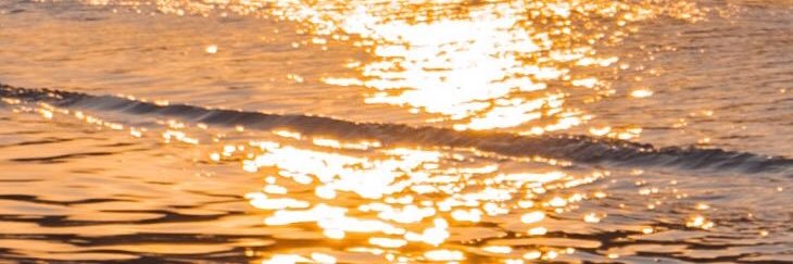 NUMMWP's profile banner image