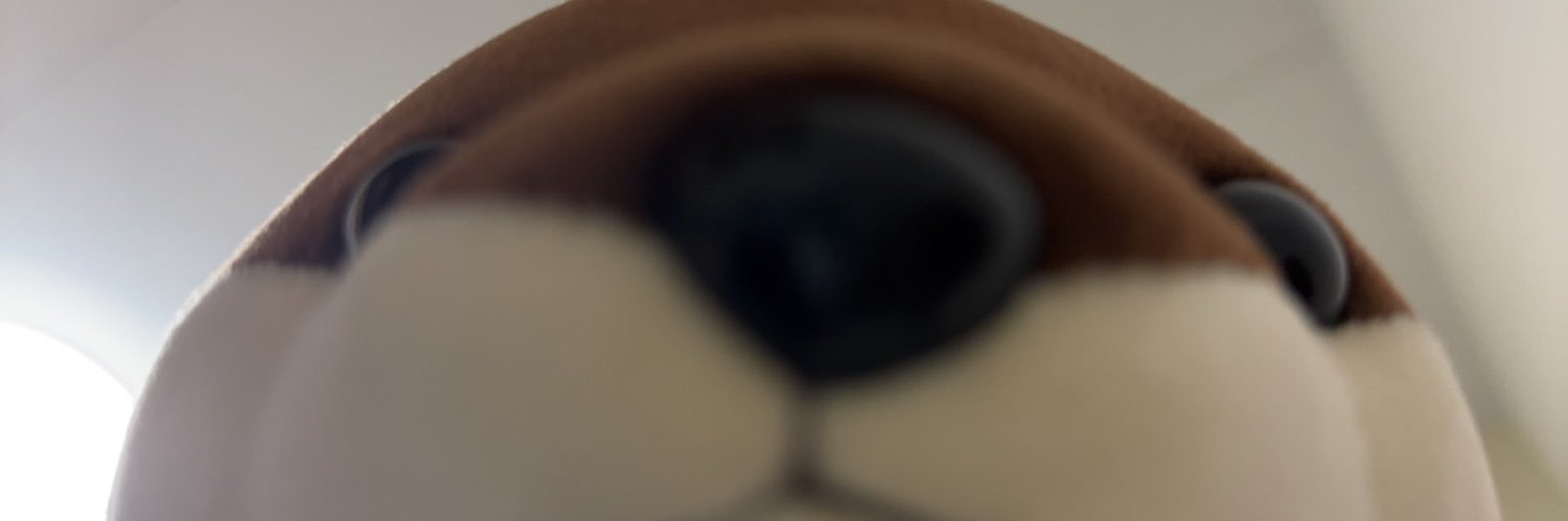 _ko1xto's profile banner image