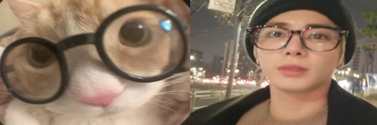 tyunbry ✧˖°𖧵 ia banner