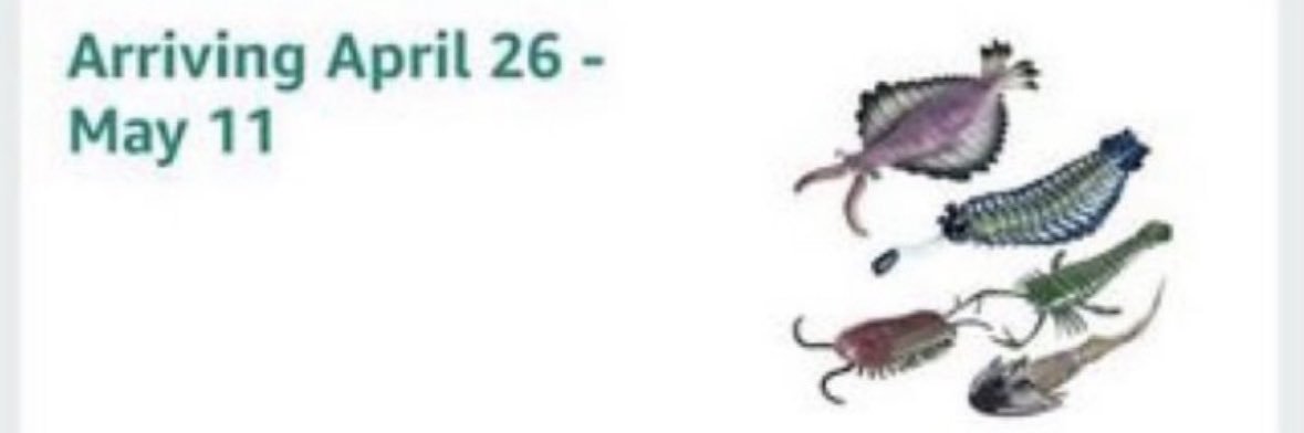 Ash Ghostspoolz🍥 banner