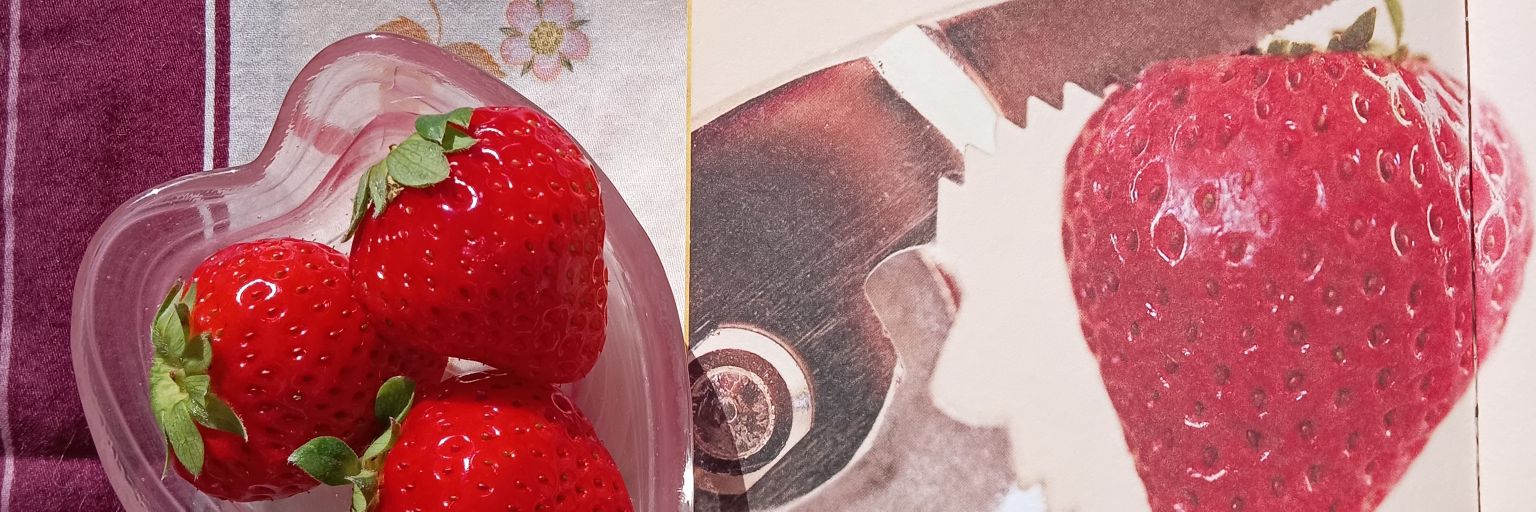 marucatrose's profile banner image