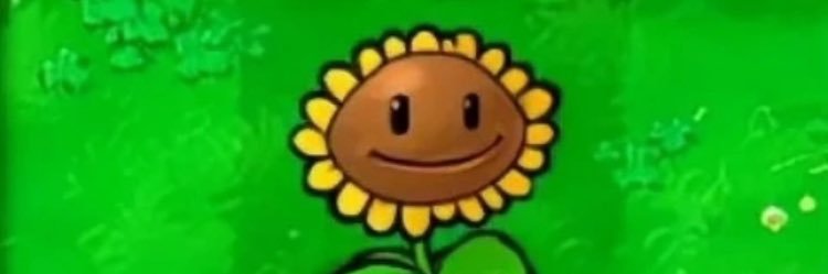 bluecakiee's profile banner image