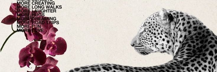 br6ja's profile banner image
