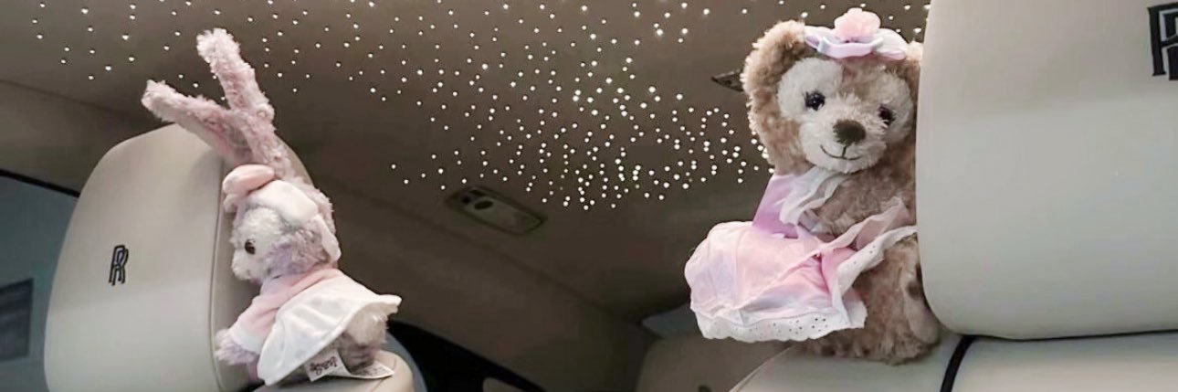 祎祎Vixen banner