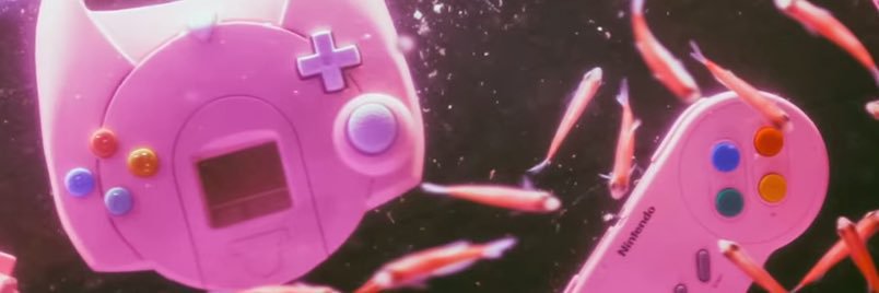tamacodechi's profile banner image