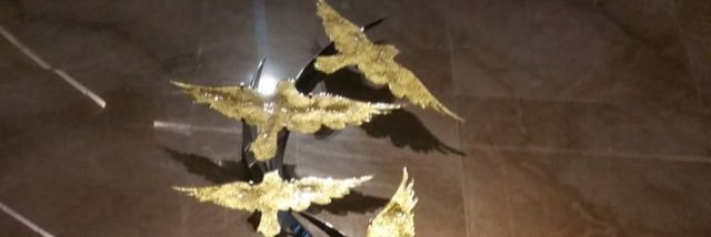 BriNiJoli's profile banner image