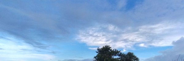 NeoH0DL Profile Banner