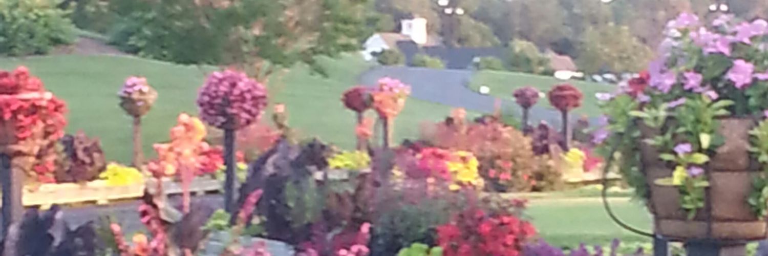 Nicci_Riser's profile banner image
