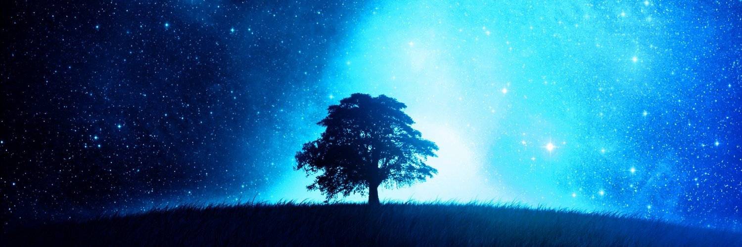polkaster300's profile banner image
