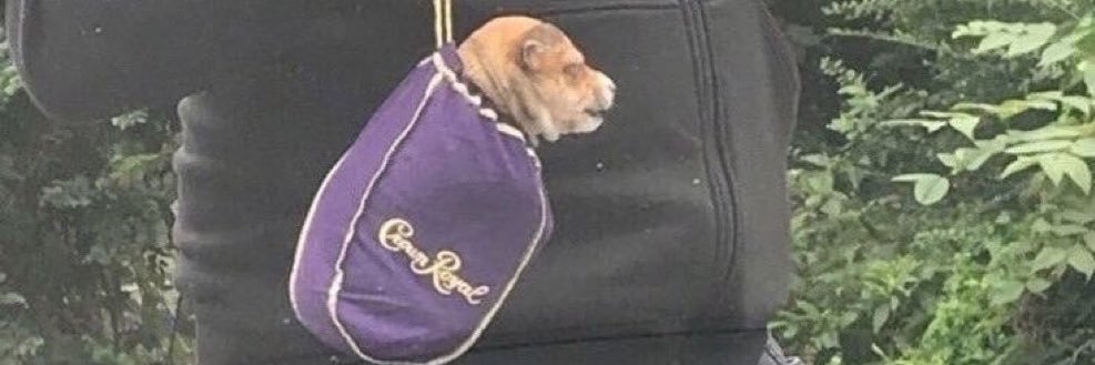 💞QBaby💖 banner